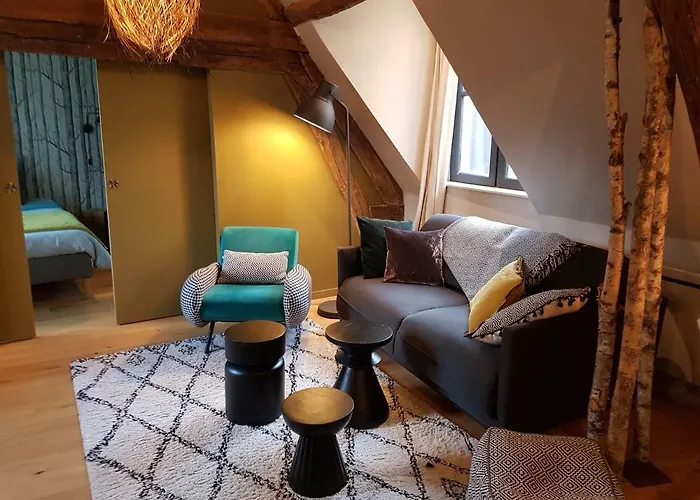 Centre Historique L'authentique Saint Nicolas Ou Le Bourdon De La Cathedrale Apartment *