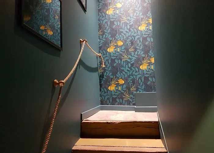 Centre Historique L'authentique Saint Nicolas Ou Le Bourdon De La Cathedrale Apartment