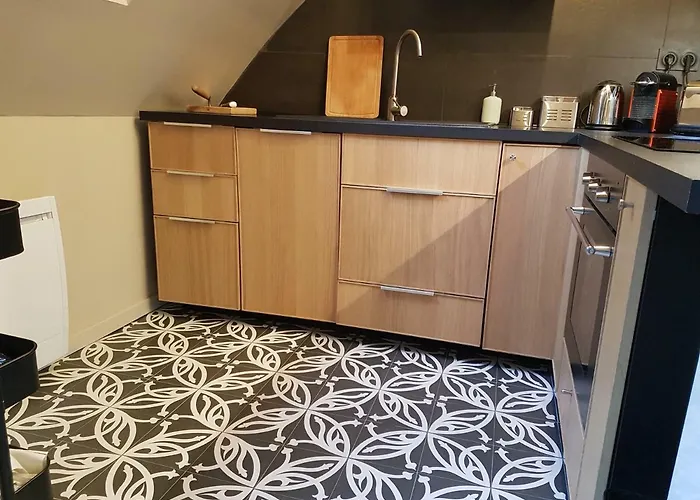 Centre Historique L'authentique Saint Nicolas Ou Le Bourdon De La Cathedrale