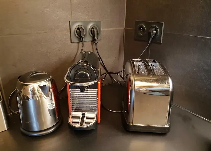 Centre Historique L'authentique Saint Nicolas Ou Le Bourdon De La Cathedrale Apartment *