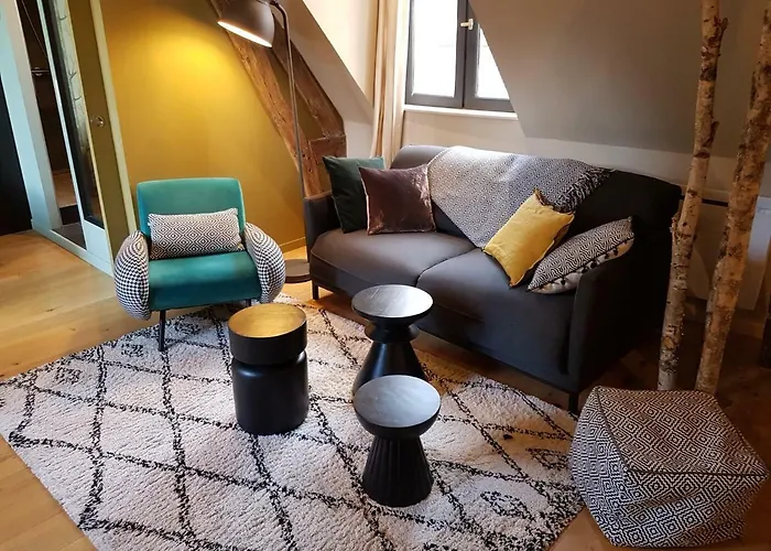 Centre Historique L'authentique Saint Nicolas Ou Le Bourdon De La Cathedrale Apartment *