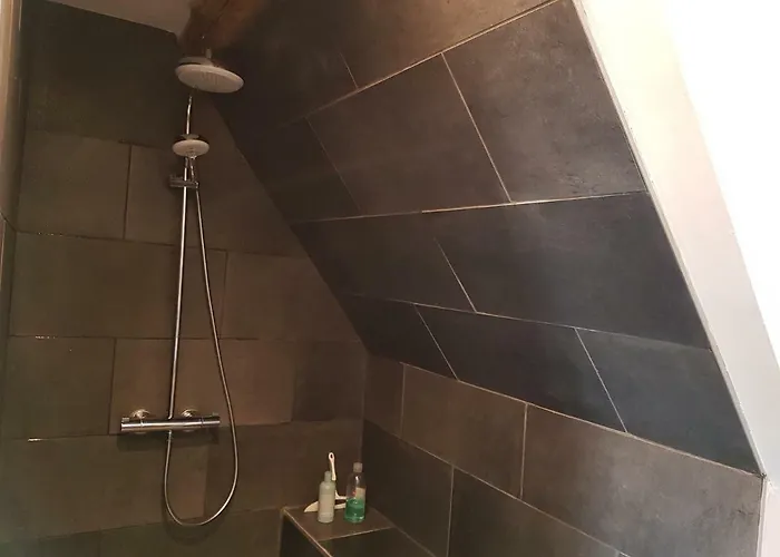 Centre Historique L'authentique Saint Nicolas Ou Le Bourdon De La Cathedrale Apartment *