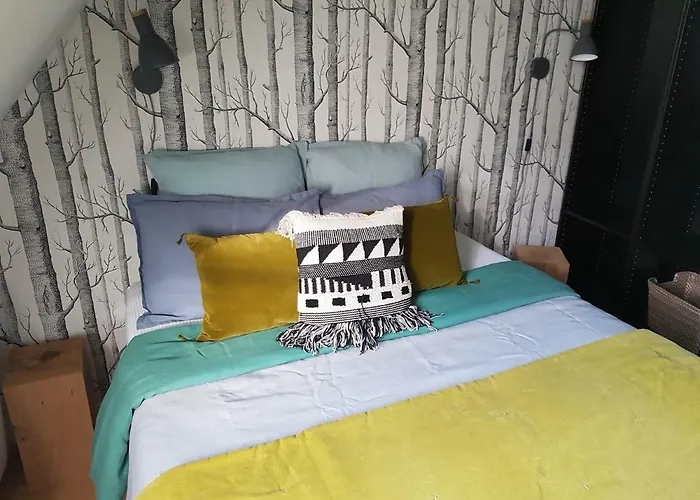 Centre Historique L'authentique Saint Nicolas Ou Le Bourdon De La Cathedrale *