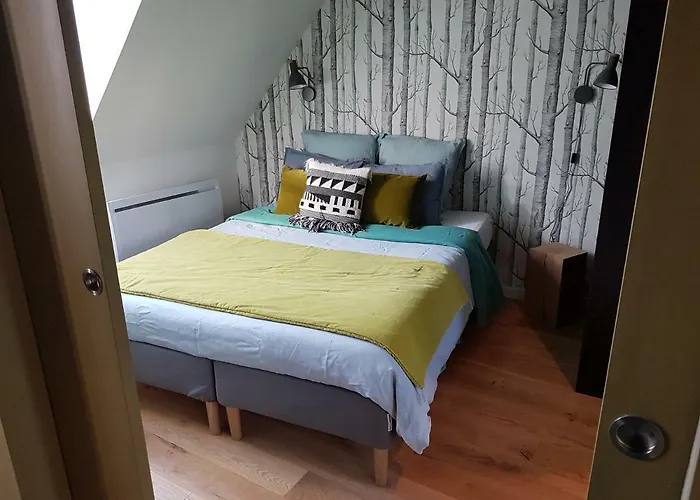 Centre Historique L'authentique Saint Nicolas Ou Le Bourdon De La Cathedrale