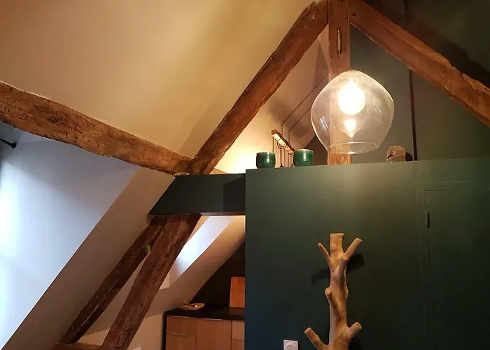 Apartment Centre Historique L'authentique Saint Nicolas Ou Le Bourdon De La Cathedrale